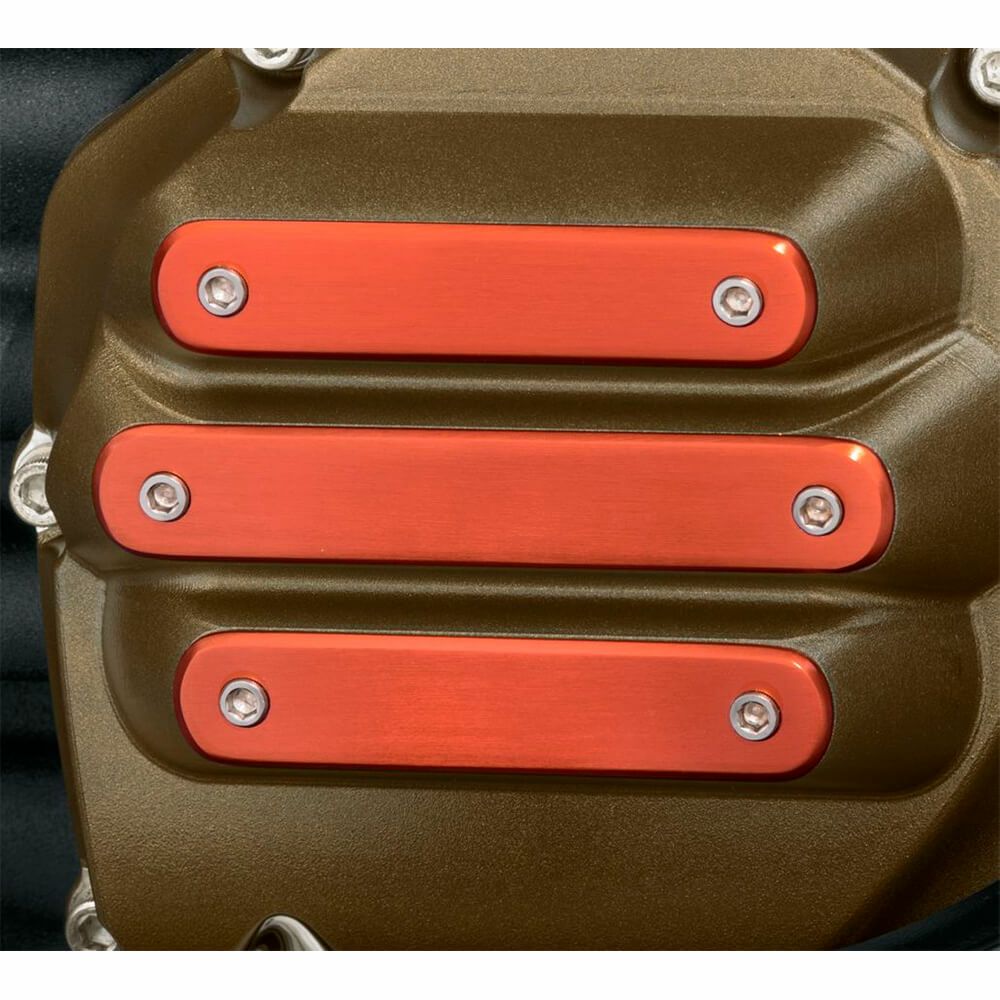 ドミニオン・コレクション・インサート／スモール04