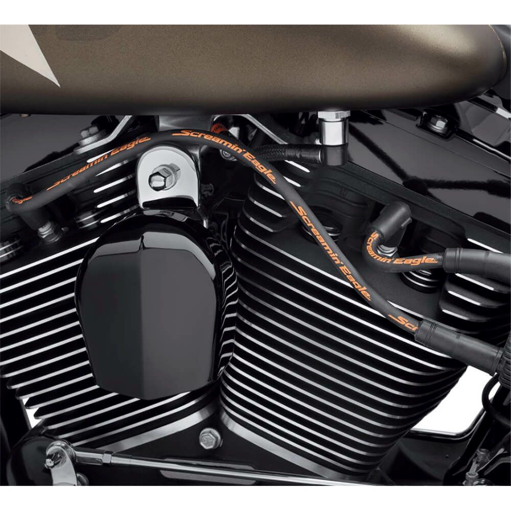 スクリーミンイーグル・10MMファットスパークプラグワイヤー02