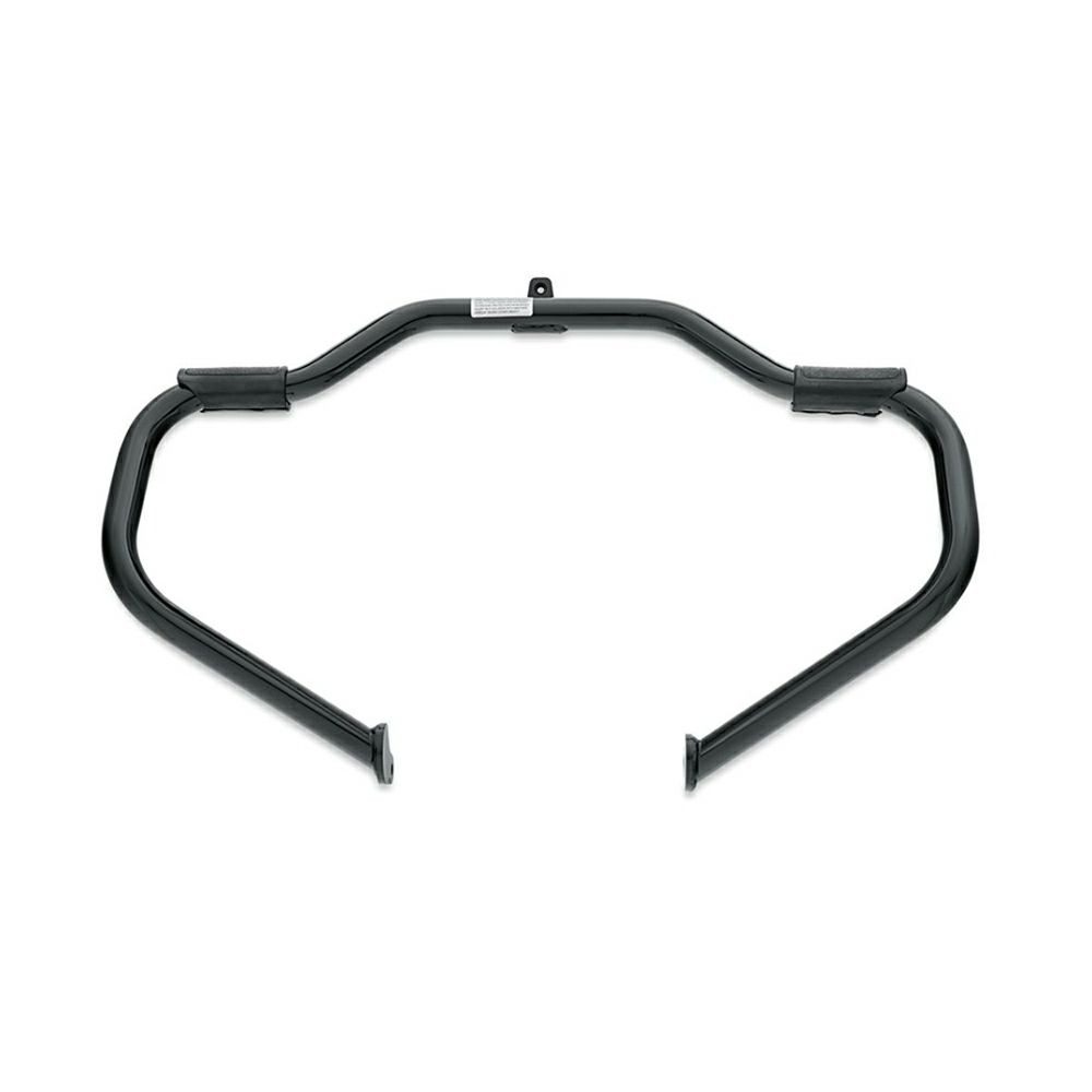 マスタッシュ・エンジンガード02