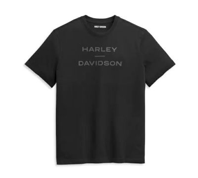 HARLEY-DAVIDSON 純正（ハーレーダビッドソン）メンズ ホライゾンロゴTシャツ_96351-21VM