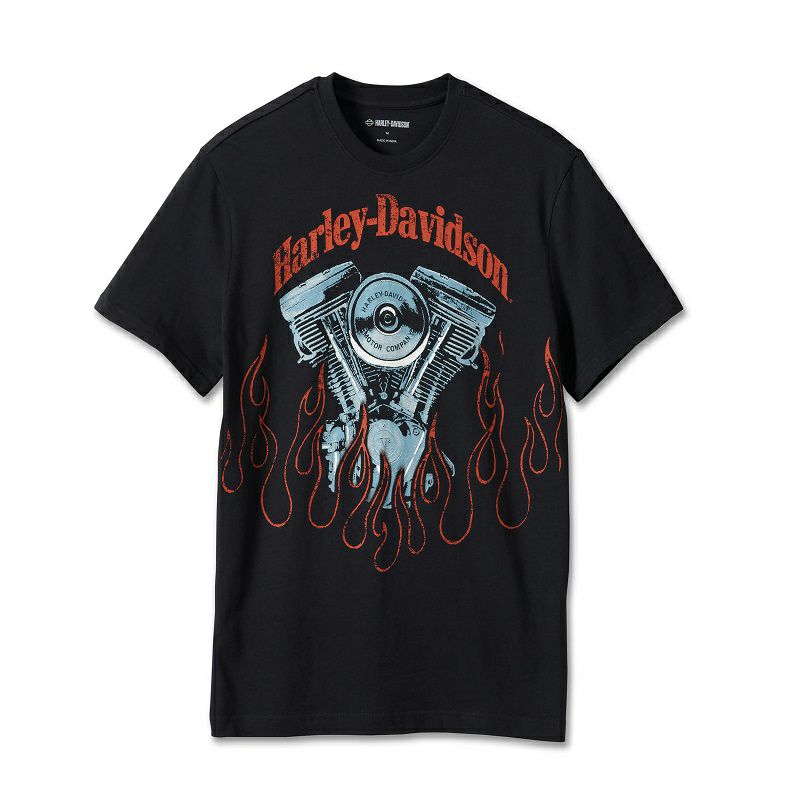 HARLEY-DAVIDSON 純正（ハーレーダビッドソン）メンズ フィーリーTシャツ_96202-24VM