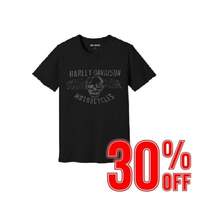 HARLEY-DAVIDSON 純正（ハーレーダビッドソン）メンズ スカルTシャツ_96106-23VM