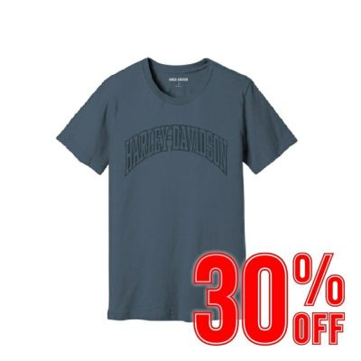 HARLEY-DAVIDSON 純正（ハーレーダビッドソン）メンズハーレーダビッドソンTシャツ_96322-23VM