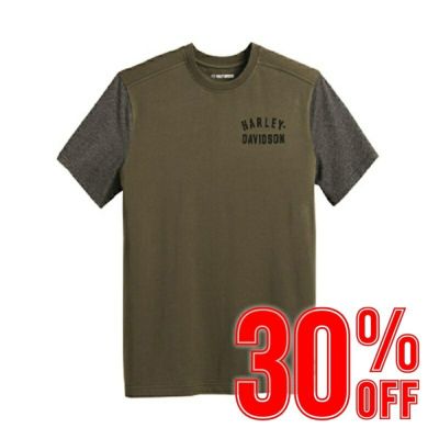 HARLEY-DAVIDSON 純正（ハーレーダビッドソン）メンズ ステイプル カラーブロック Tシャツ_96045-23VM