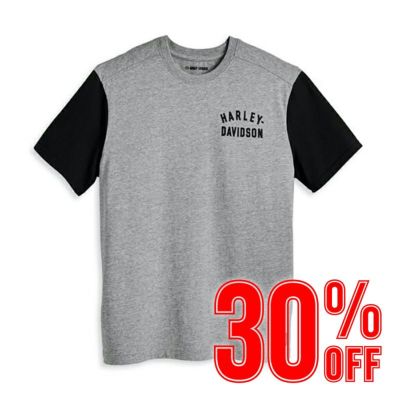 HARLEY-DAVIDSON 純正（ハーレーダビッドソン）メンズ ステープル カラーブロックTシャツ_96046-23VM