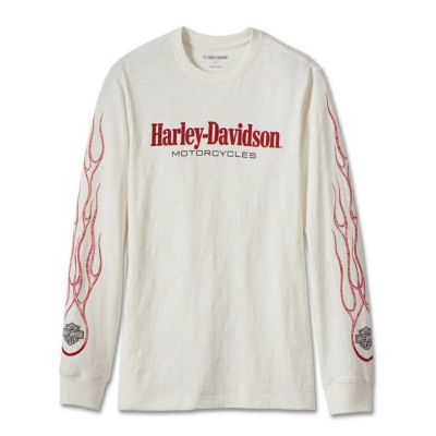 HARLEY-DAVIDSON 純正（ハーレーダビッドソン）メンズ インフレイムスTシャツ_96208-24AC