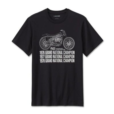HARLEY-DAVIDSON 純正（ハーレーダビッドソン）メンズ The Ton Tシャツ_96427-24VM