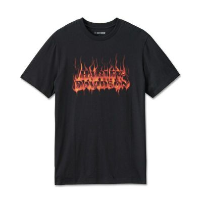 HARLEY-DAVIDSON 純正（ハーレーダビッドソン）メンズ ロードナイトTシャツ_96533-24VM