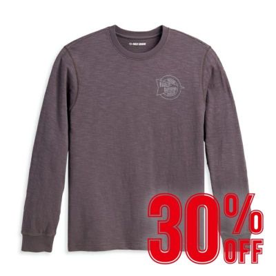 HARLEY-DAVIDSON 純正（ハーレーダビッドソン）メンズ ハーレーTシャツ_96081-23VM
