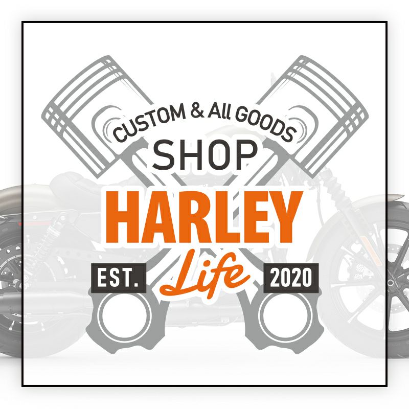 ハーレー純正　スポーツパッセンジャーピリオン-CVOモデルスタイル