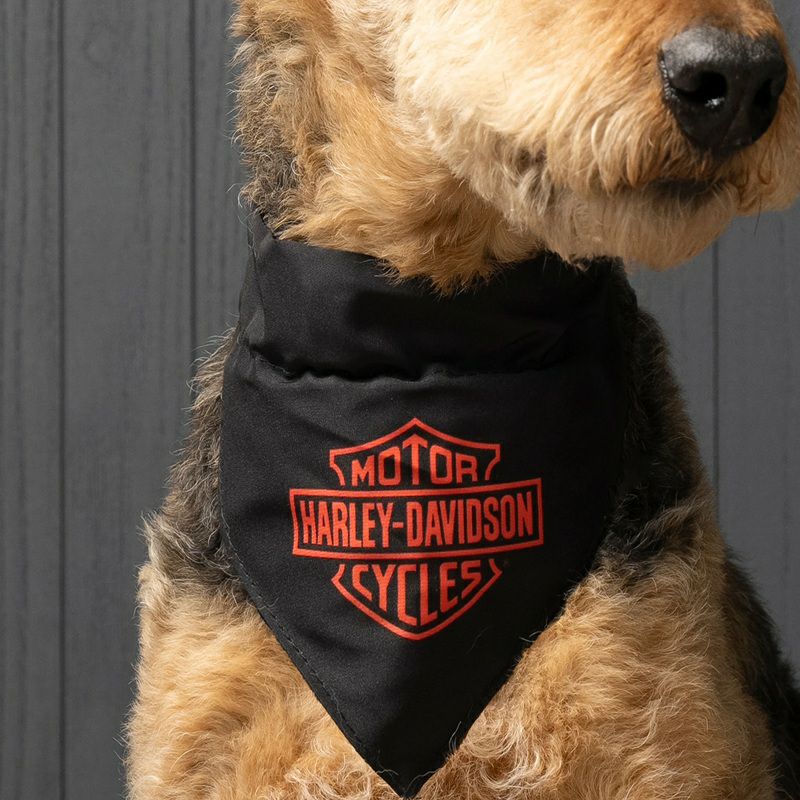 HDX-99283_ハーレーダビッドソンオープン・バー＆シールド・バンク