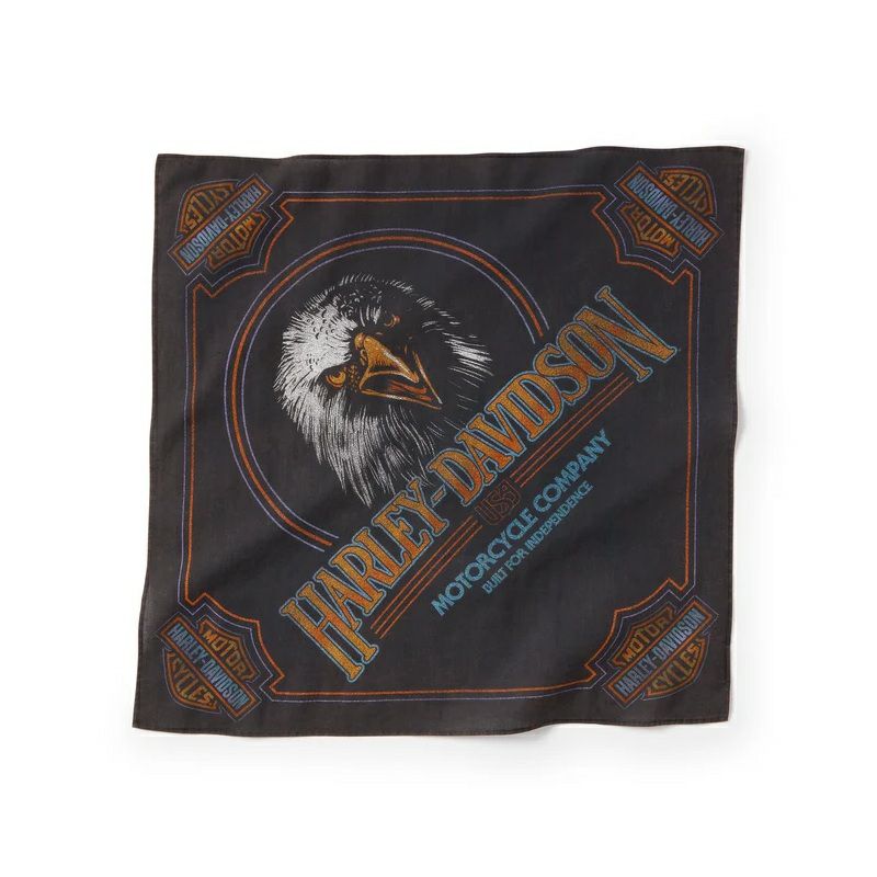 HARLEY-DAVIDSON 純正（ハーレーダビッドソン）ソアリングライド