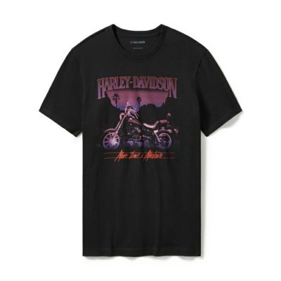 HARLEY-DAVIDSON 純正（ハーレーダビッドソン）メンズ ローライダーサンセットグラフィックTシャツ_96479-25VM